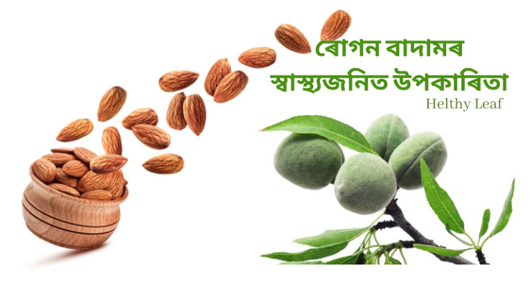 ৰোগন বাদাম উপকাৰিতা - Benefits of Almonds, Uses, Side Effects
