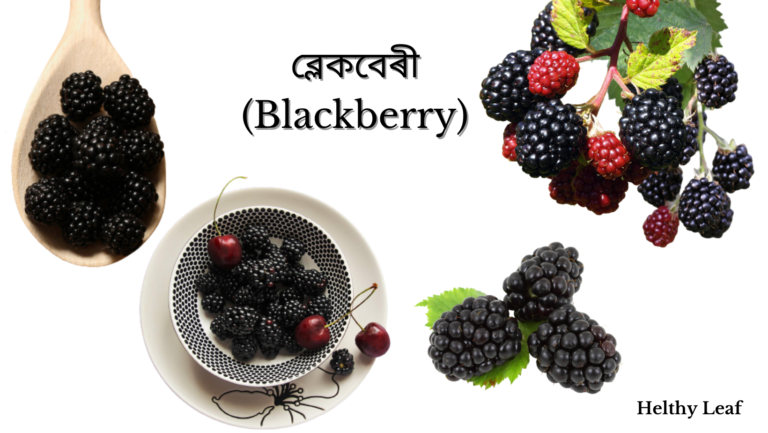ব্লেকবেৰী blackberry